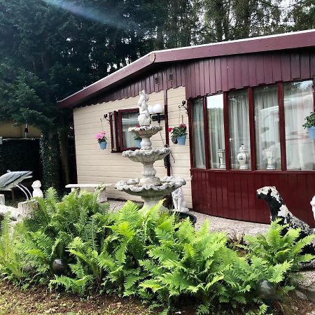 Retro Relax Resort Midden In Het Bos Op De Veluwe In Putten Esterno foto